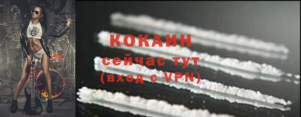 дживик Белокуриха
