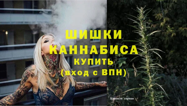 дживик Белокуриха