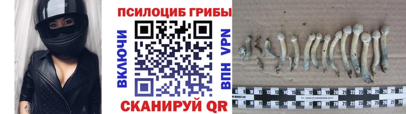 OMG вход  Армавир  Галлюциногенные грибы ЛСД 